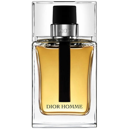 Christian Dior - Dior Homme 2013 and 2015