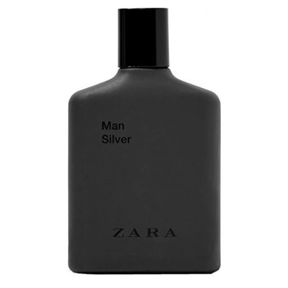 Zara - Man Silver